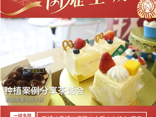 活动视频
