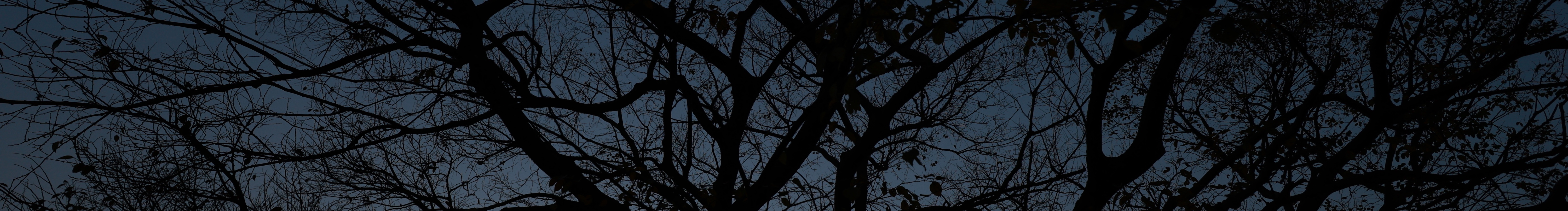 王子不會拍的個人主頁（封面預(yù)覽） - 主頁封面設(shè)置 - 站酷設(shè)計師王子不會拍原創(chuàng)素材 - 站酷ZCOOL