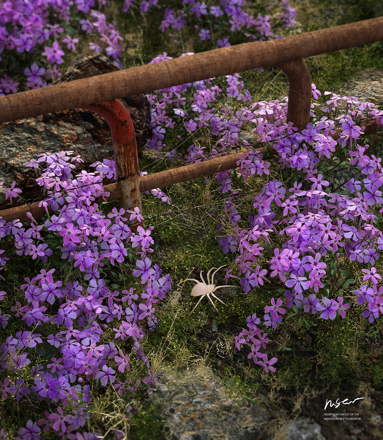 C4D OC渲染场景·做设计不如去割猪草