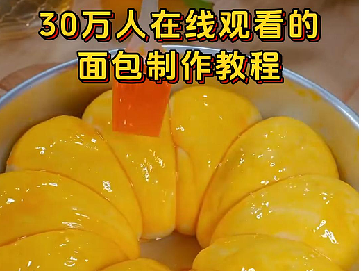 面包教程