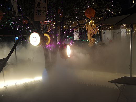 李文全随拍：繁星，总把那轮月修饰成鸟巢