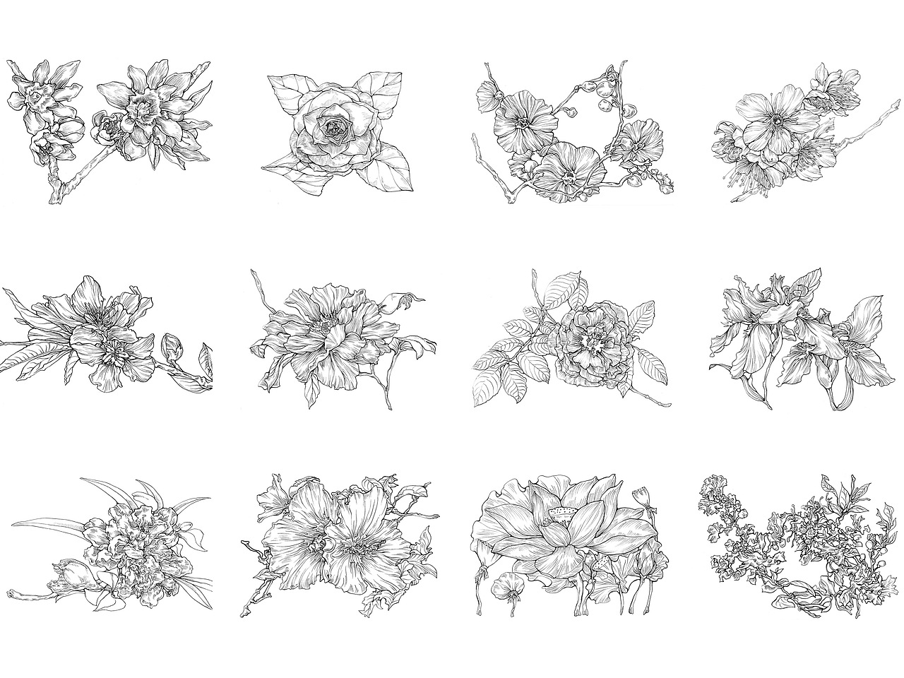 Flowers Line