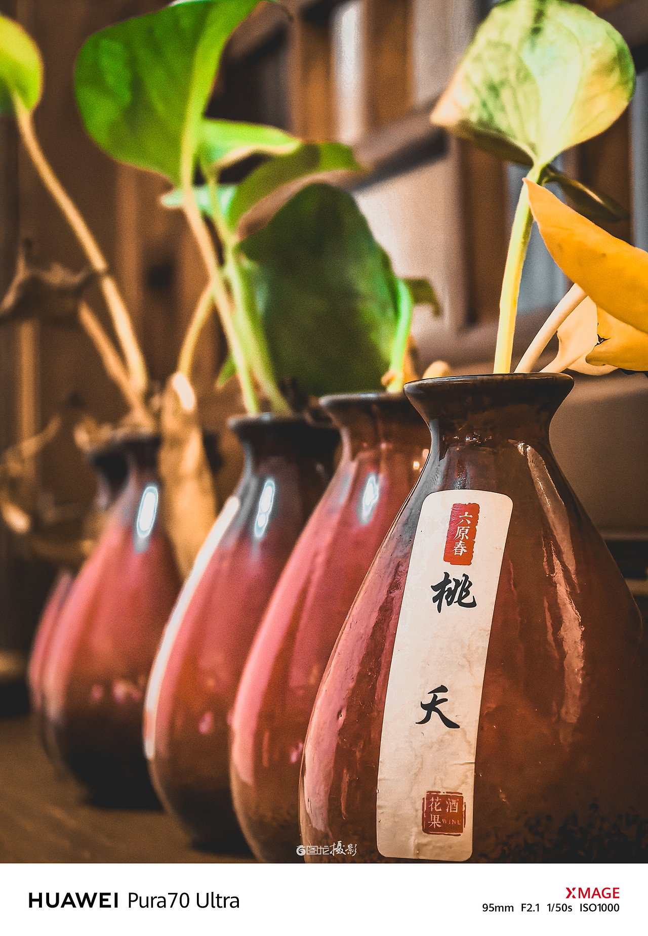 手机摄影笔记｜时光的标本，照片中的永恒瞬间（图ZMzg5OTMwMDAw） - 人文/纪实摄影 - 站酷设计师图龙摄影原创素材 - 站酷ZCOOL