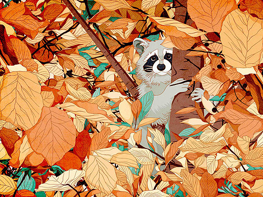 Autumn Raccoon