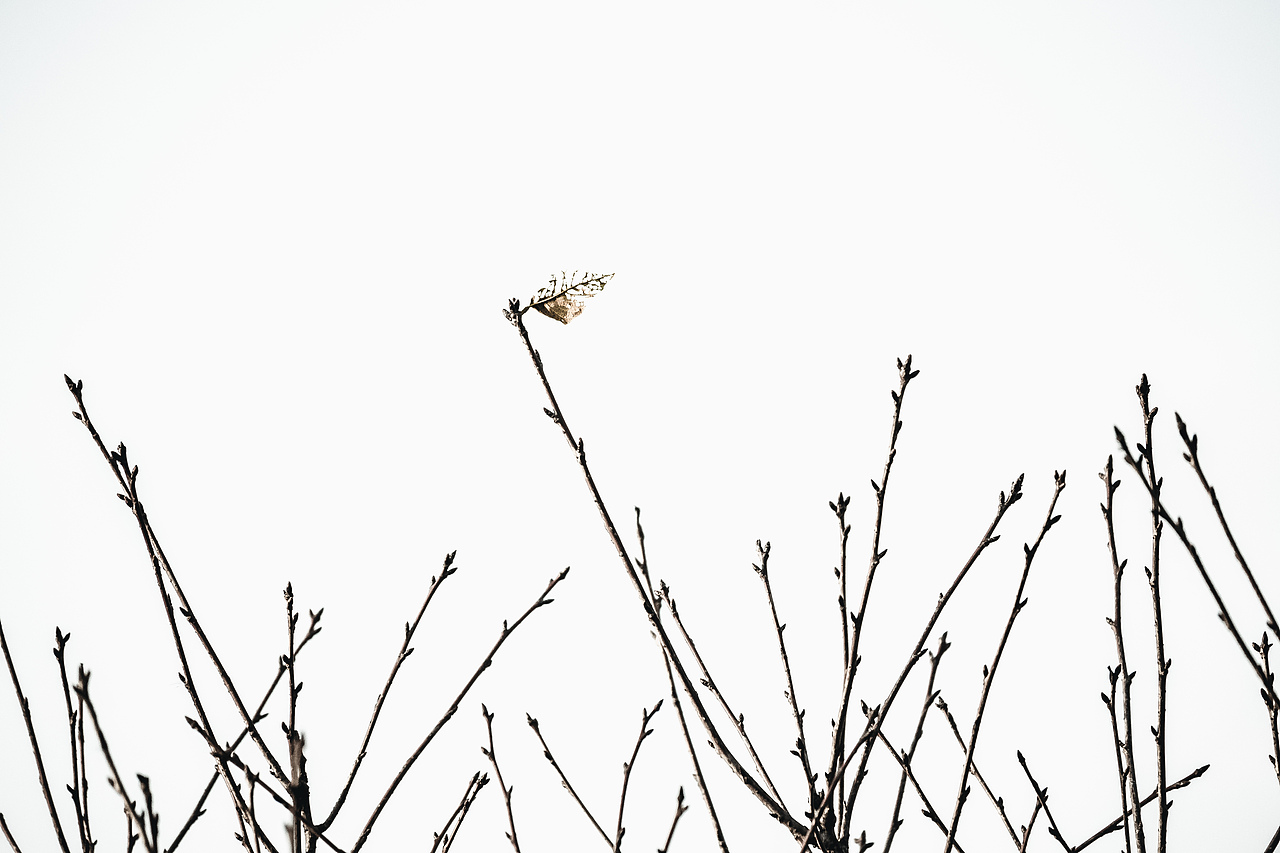 简单的演绎（图ZMzg5OTQ0NjYw） - 时尚/艺术摄影 - 站酷设计师lqtgsp原创素材 - 站酷ZCOOL