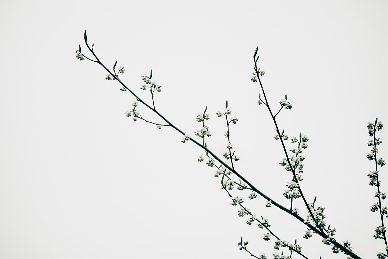 简单的演绎（图ZMzg5OTQ0Njky） - 时尚/艺术摄影 - 站酷设计师lqtgsp原创素材 - 站酷ZCOOL