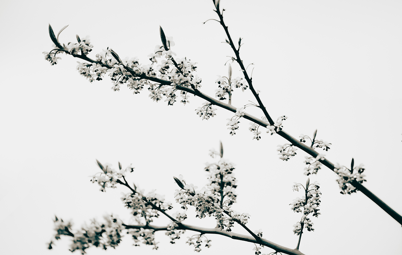 简单的演绎（图ZMzg5OTQ0Njg4） - 时尚/艺术摄影 - 站酷设计师lqtgsp原创素材 - 站酷ZCOOL