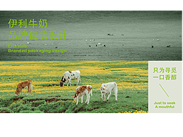 墨卿（伊利牛奶包裝設(shè)計）