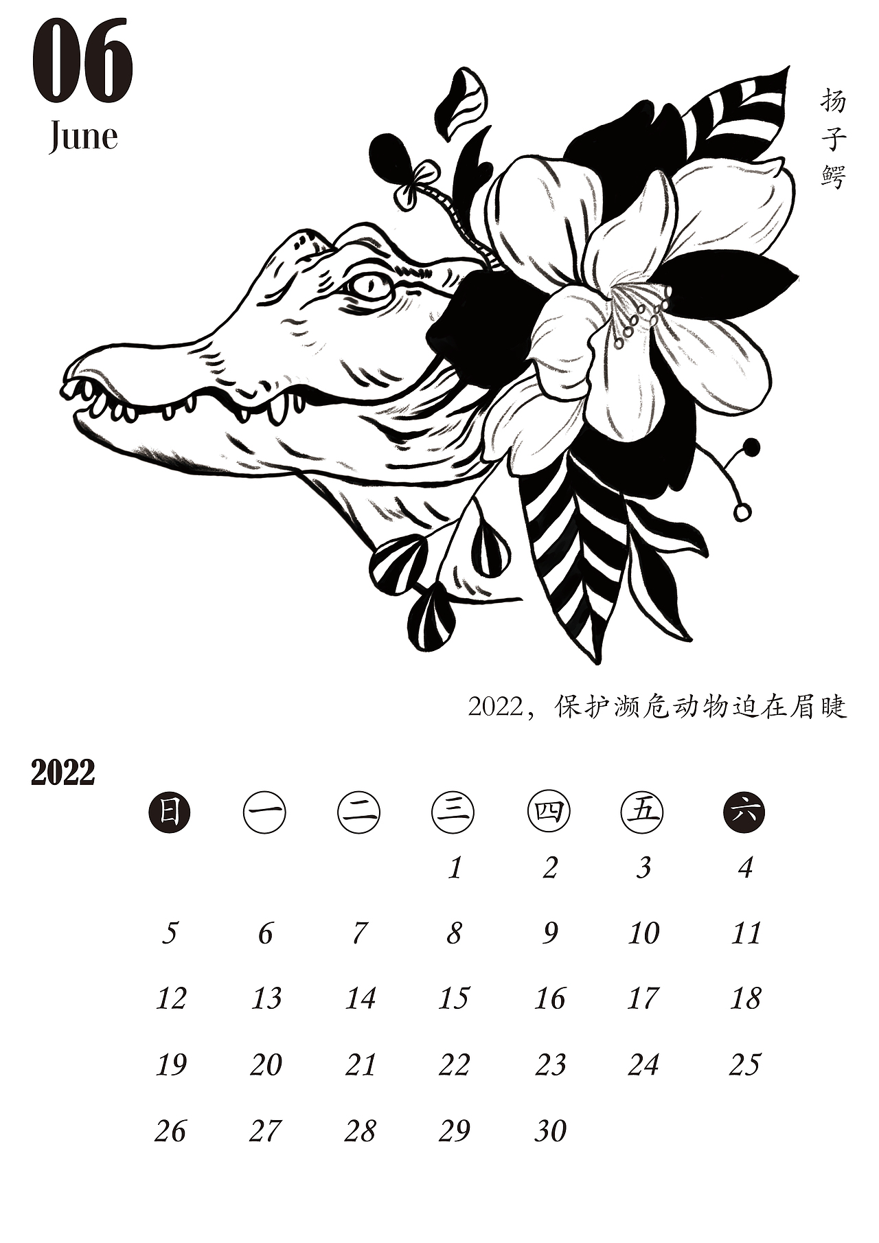 【作品分享】22年台历插画设计