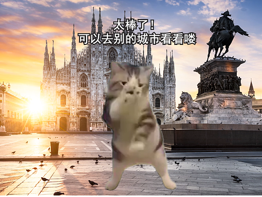 展会预告猫meme版