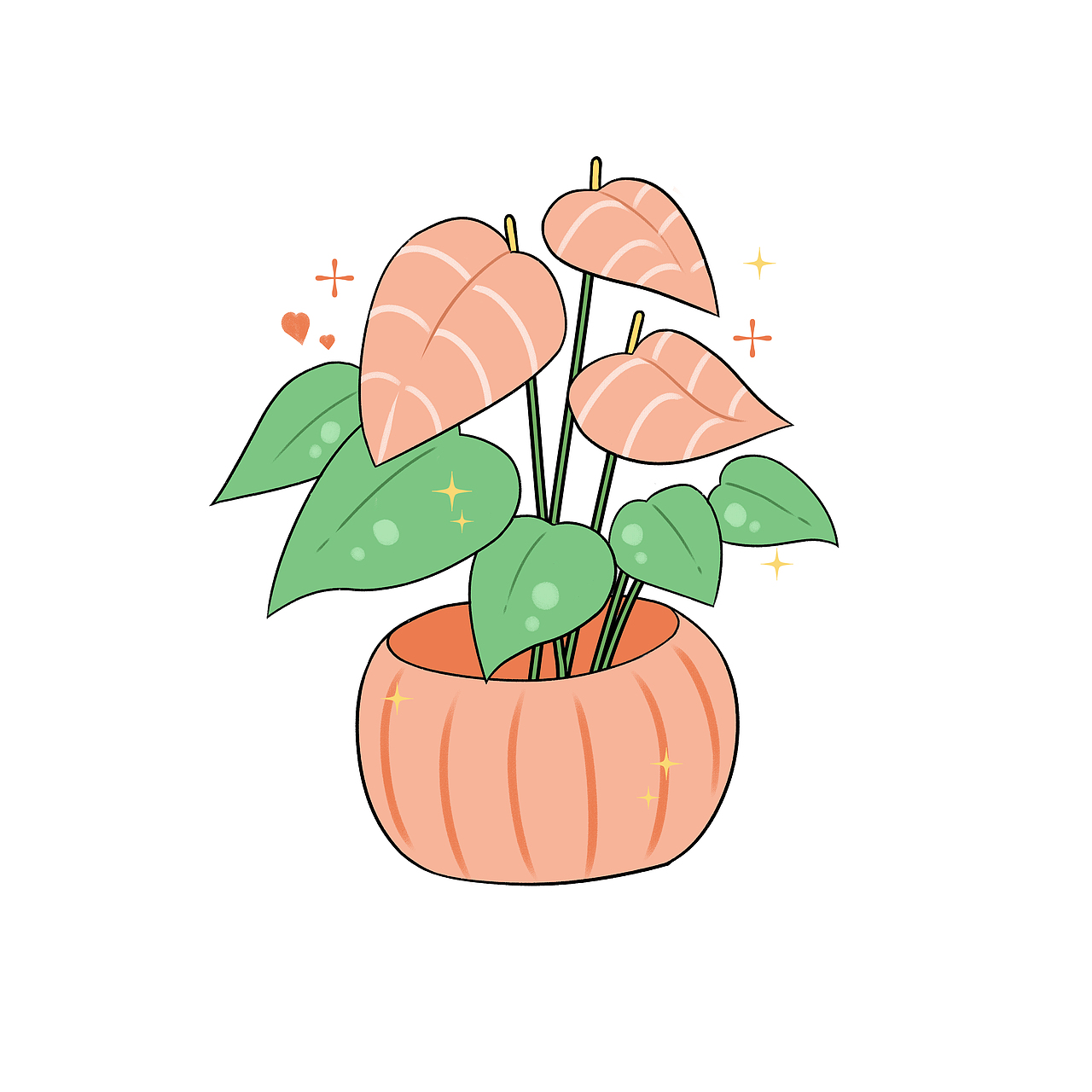 植物小盆栽