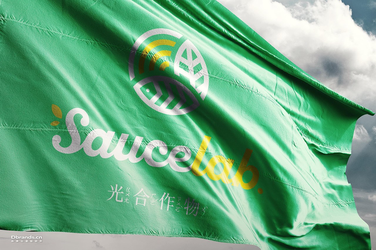 上游设计秀 | SauceLab健康波奇饭品牌设计