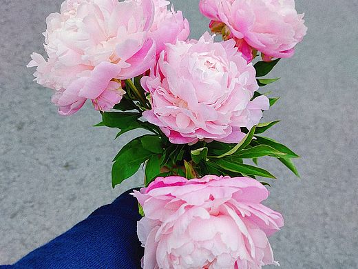 妈妈，一束鲜花请查收！