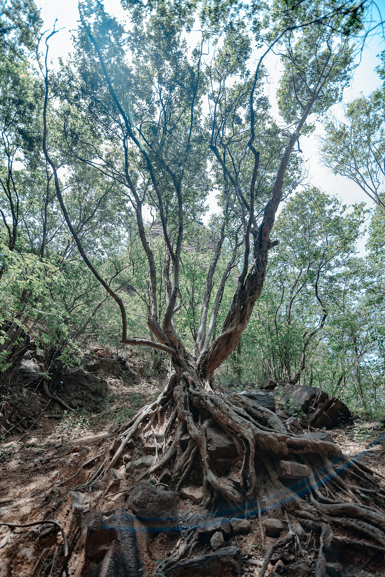 苍岩山（图ZMzg5OTkxMDEy） - 风光摄影 - 站酷设计师大卫009原创素材 - 站酷ZCOOL