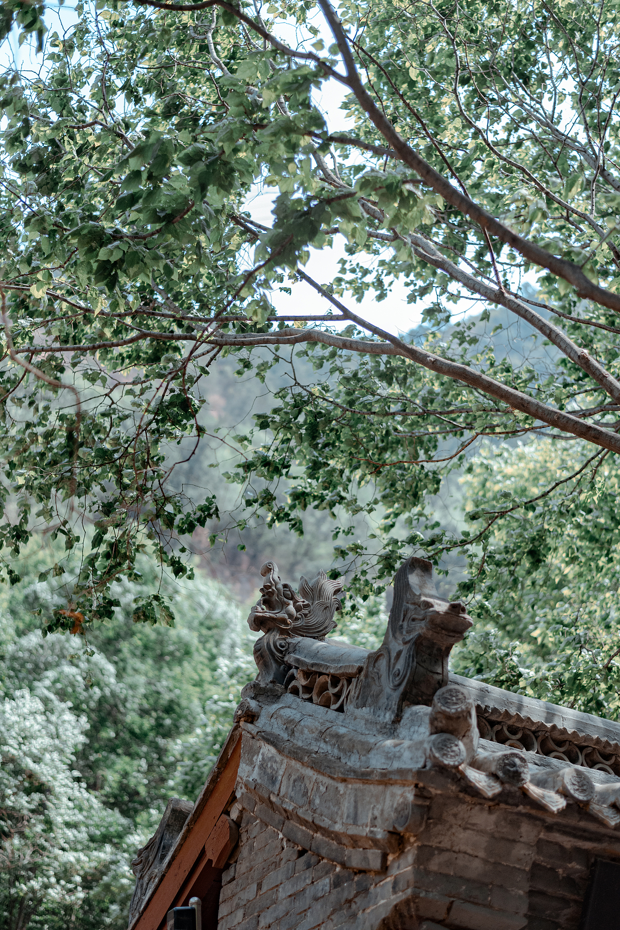 苍岩山（图ZMzg5OTkxMDI0） - 风光摄影 - 站酷设计师大卫009原创素材 - 站酷ZCOOL