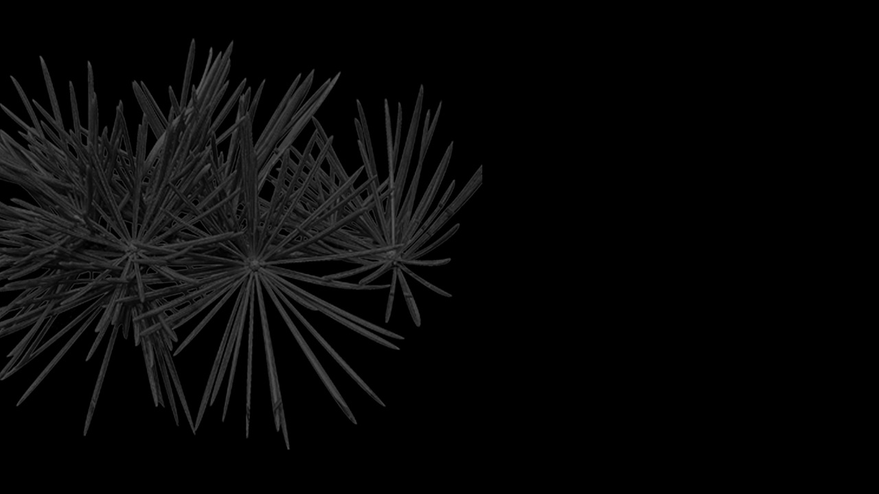 灵息 | 东方香氛品牌设计