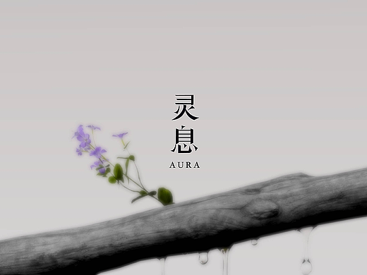 灵息 | 东方香氛品牌设计