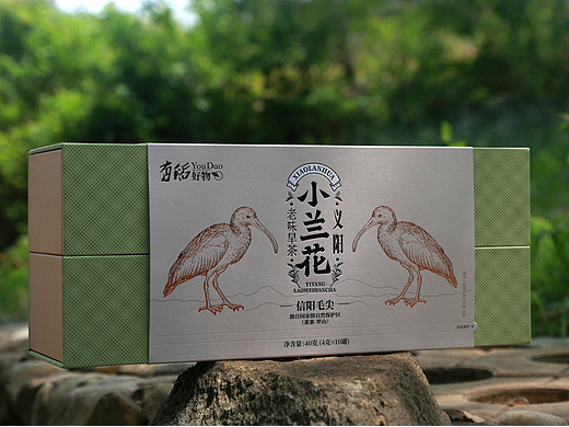 信阳毛尖包装设计