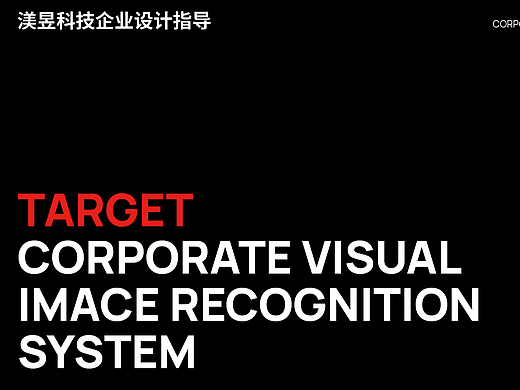 TARGET品牌VI手册规范