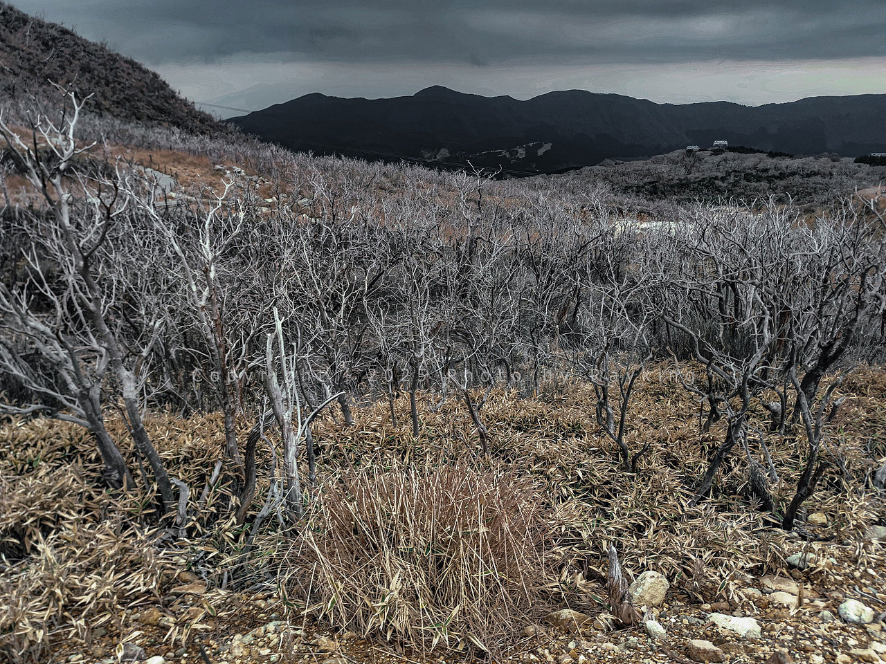 探秘地狱之谷|大涌谷自然研究步道