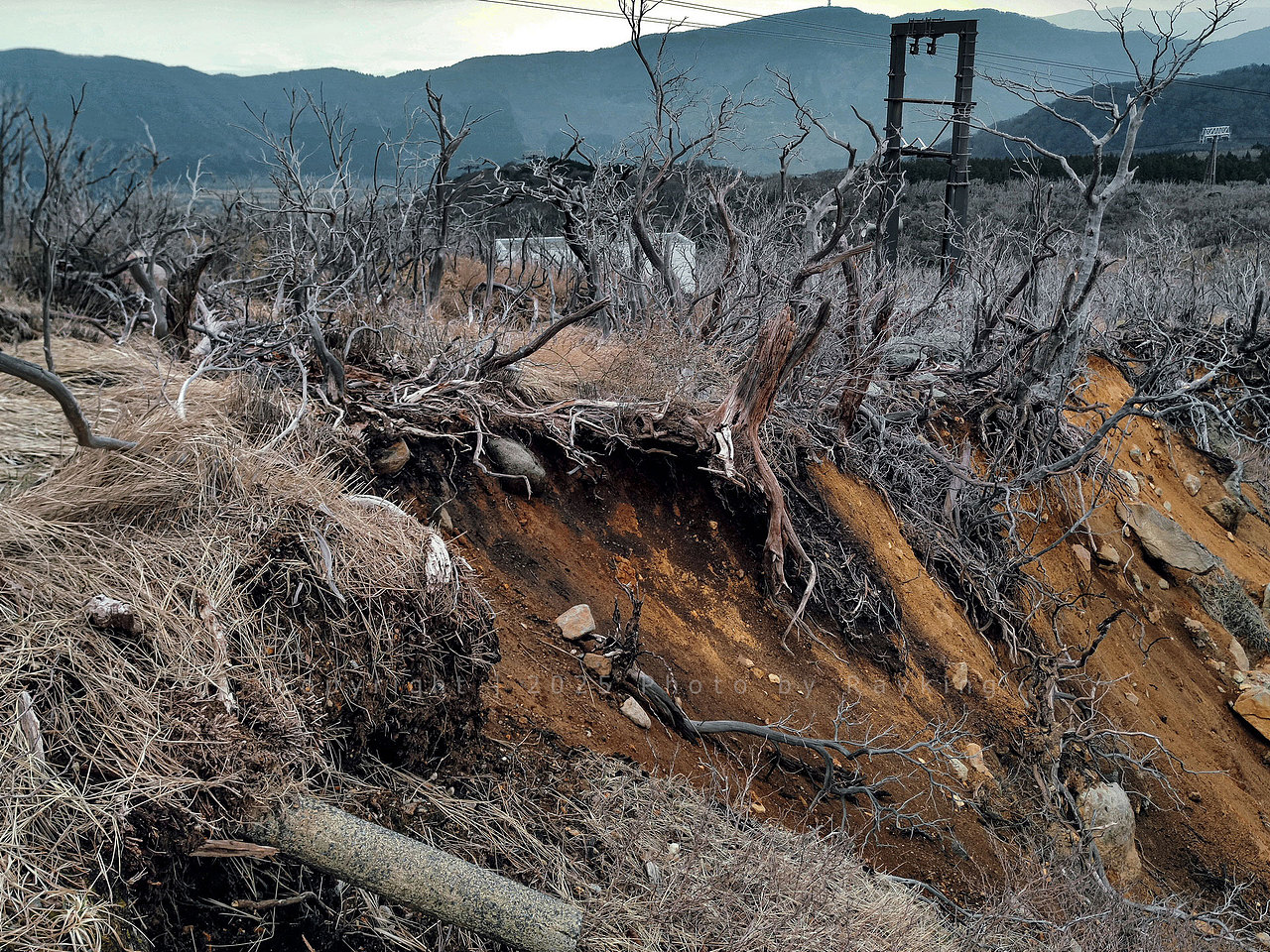 探秘地狱之谷|大涌谷自然研究步道