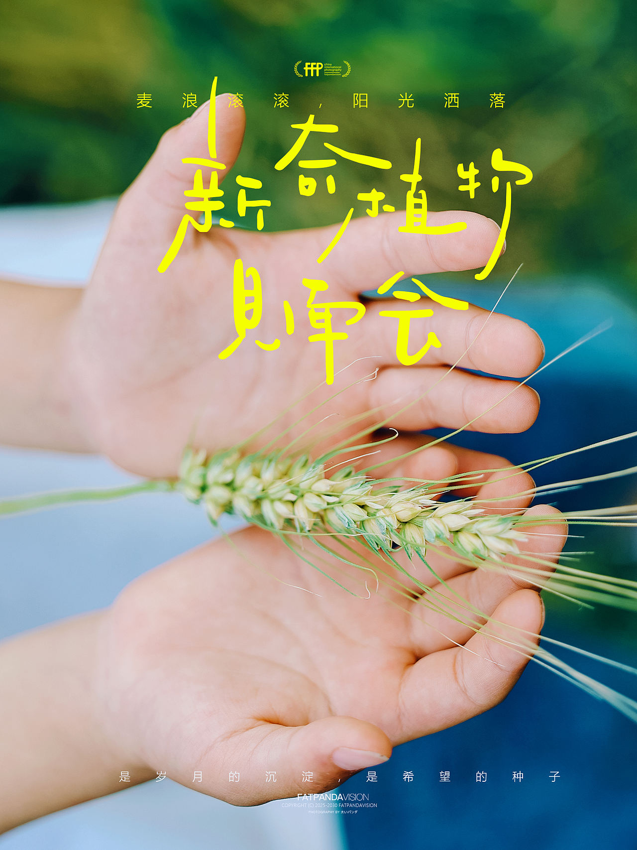 儿童摄影 | 童年就是：麦田边奔跑无忧的欢笑（图ZMzkwMDI5MjEy） - 人像摄影 - 站酷设计师摄影师_罗少原创素材 - 站酷ZCOOL