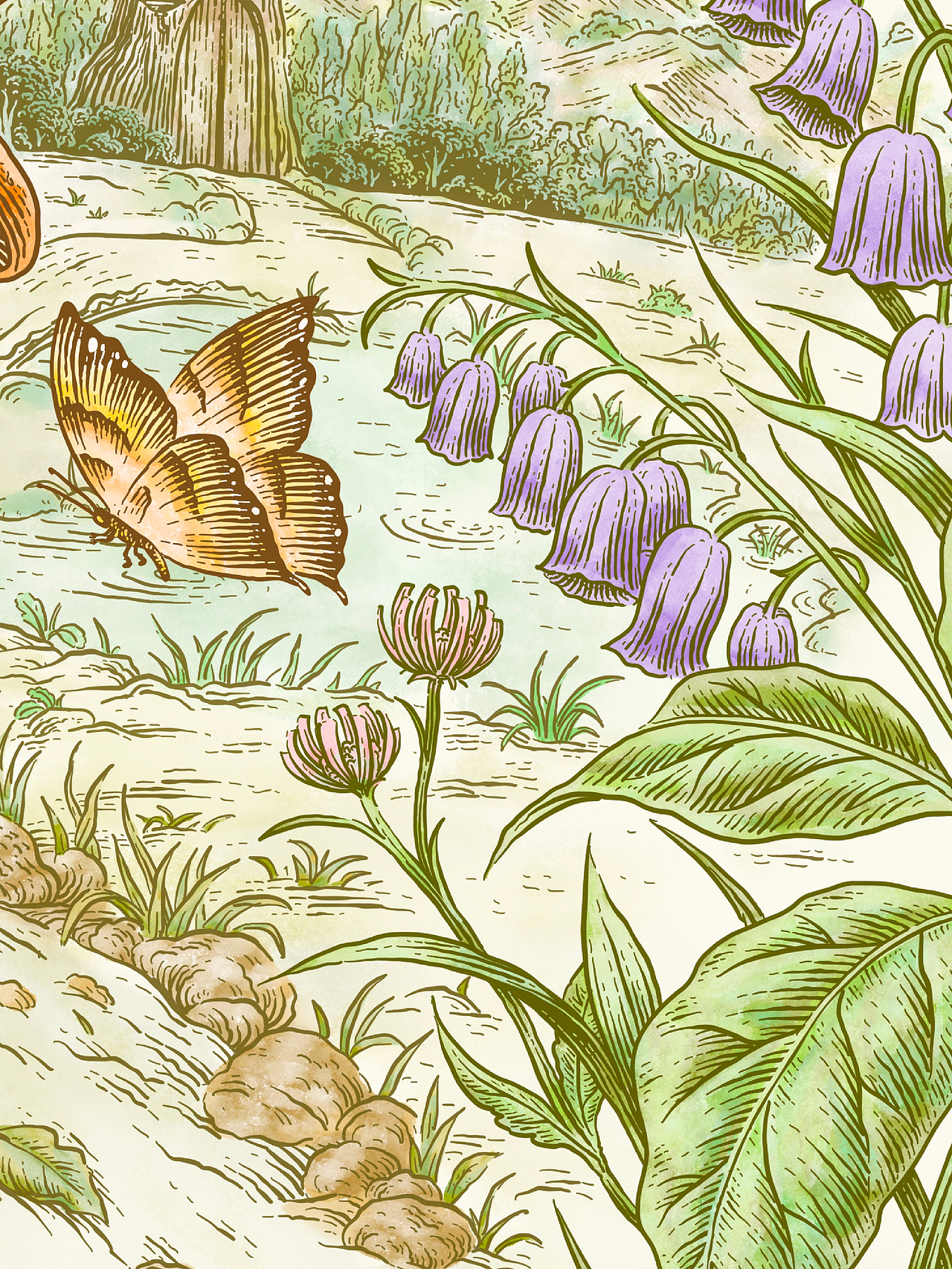 原创插画 | 绮梦之森