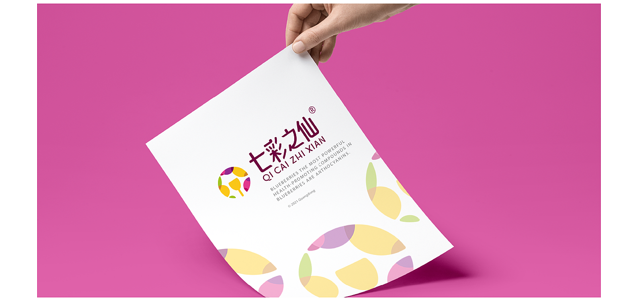 专业logo设计|标志设计|七彩之仙 果酒品牌