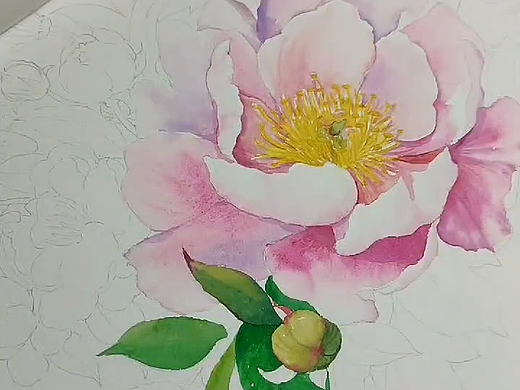 水彩花卉
