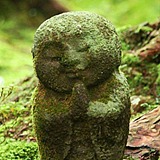 夏玄墨的头像