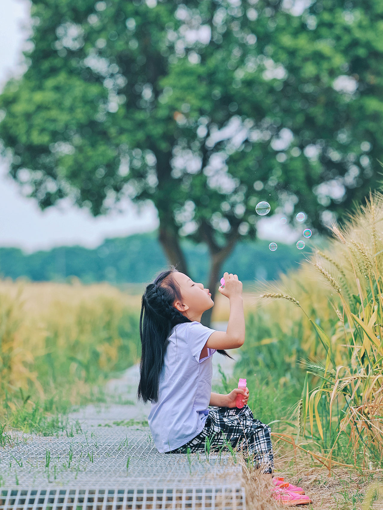 儿童摄影 | 麦田里的小女孩,是人间天使（图ZMzkwMDY3MzY4） - 人像摄影 - 站酷设计师摄影师_罗少原创素材 - 站酷ZCOOL