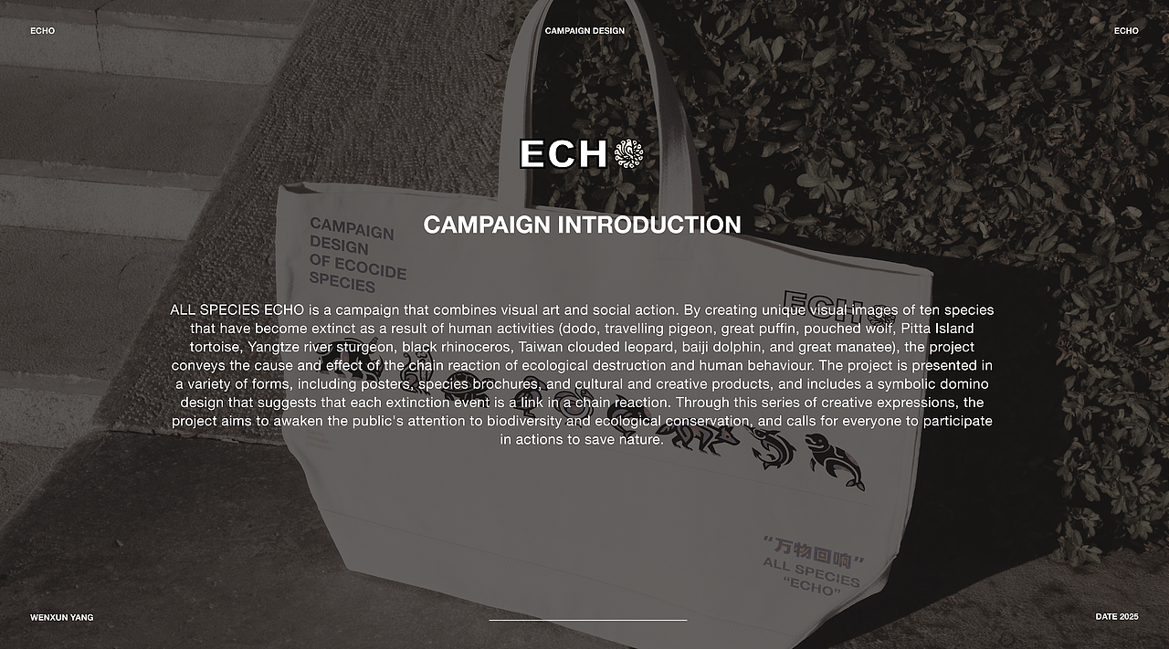 万物回响 图形品牌主题设计