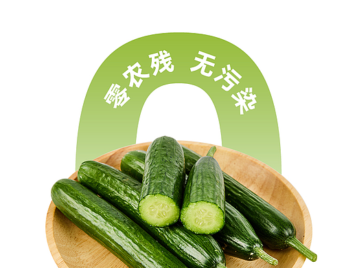 有机黄瓜