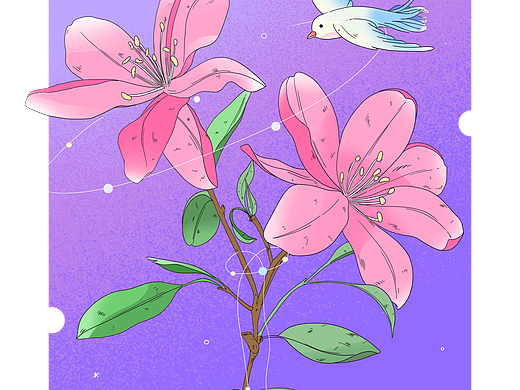花卉插画