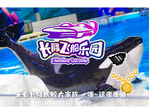 珠海横琴长隆飞船乐园-虎鲸有嘻哈