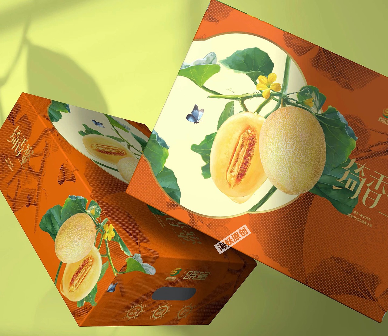 ｛原创｝黄皮瓜网纹瓜礼盒连枝带叶写实风格包装设计（图ZMzkwMTAzMzc2） - 包装 - 站酷设计师海妖视觉原创素材 - 站酷ZCOOL