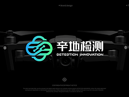 VI全案 品牌LOGO 字体 包装……