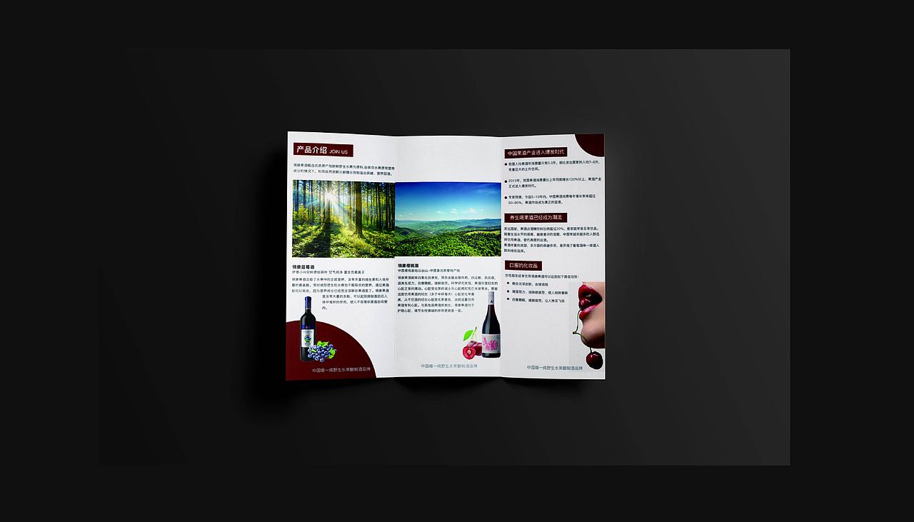 品牌设计作品集（图ZMzkwMTI3MTA4） - 其他平面 - 站酷设计师小倔原创素材 - 站酷ZCOOL