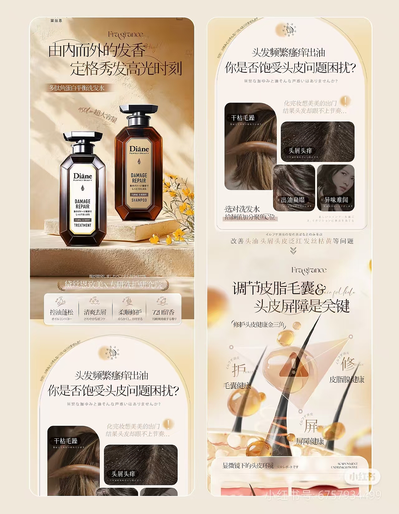 黛丝恩洗发水品牌详情页