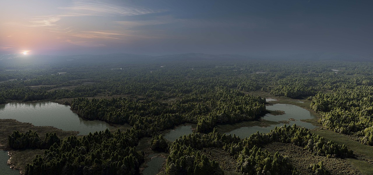 Superplains Forest Community