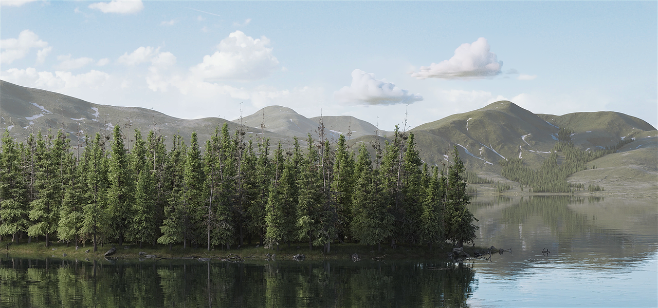 Lake view forest pine trees