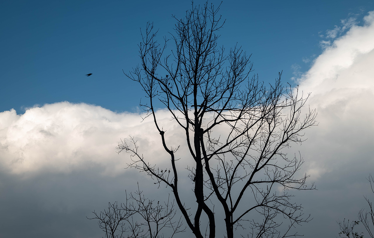 风光摄影·大理