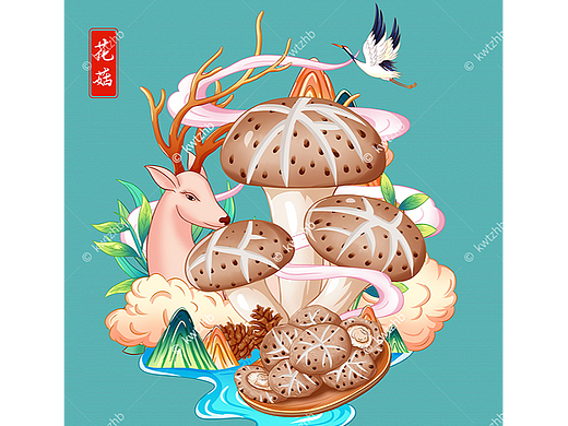 花菇插画手绘