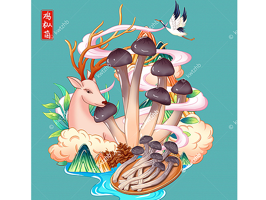 鸡枞菌插画手绘