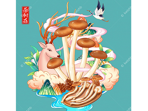 茶树菇插画手绘