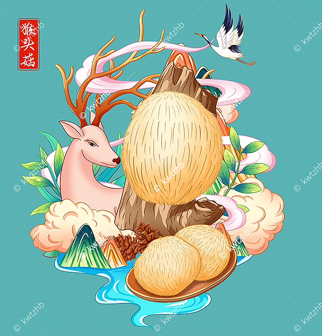猴头菇插画手绘
