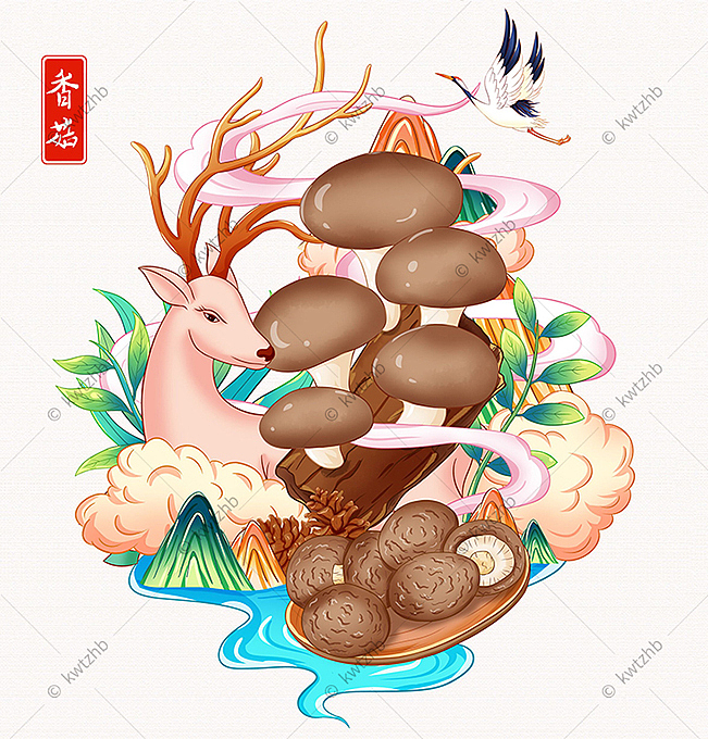 香菇插画手绘