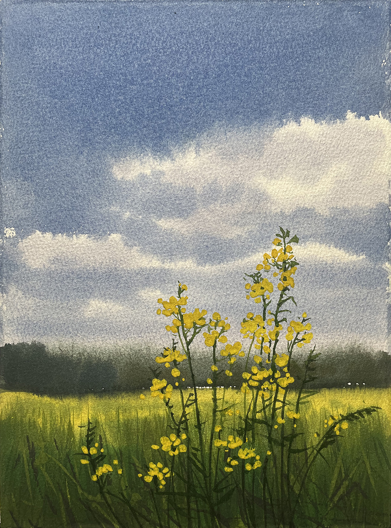 2025 四月 每日一画（图ZMzkwMTk0NDgw） - 绘画 - 站酷设计师孙小良的水彩画原创素材 - 站酷ZCOOL