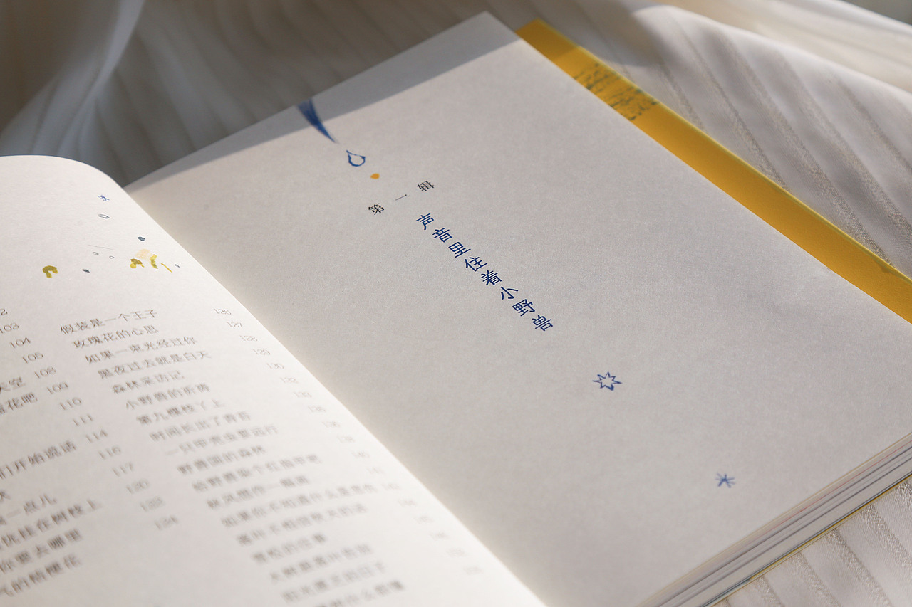 书籍设计|《声音里住着小野兽》
