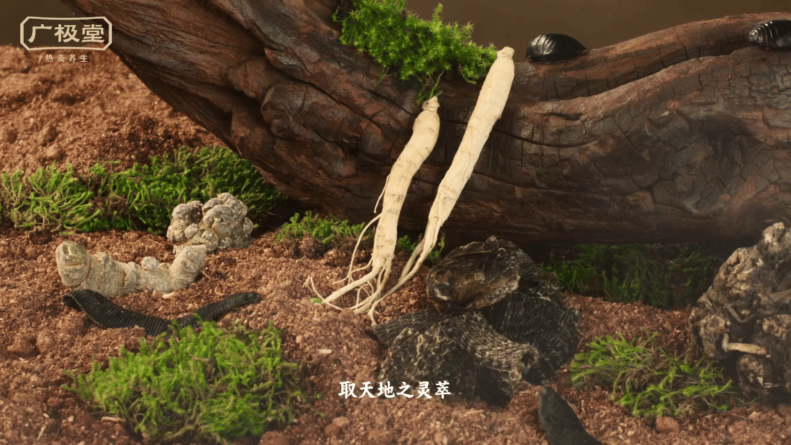广极堂 I 热灸康保健膏 ✖ 众目摄影